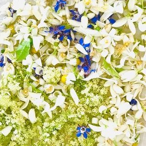 Meet your Posher, Jade